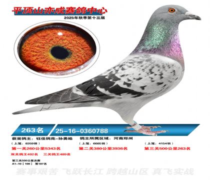 ƽ��ɽ��ɾ���263��