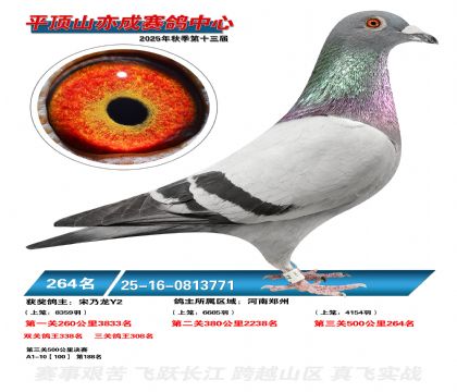 ƽ��ɽ��ɾ���264��