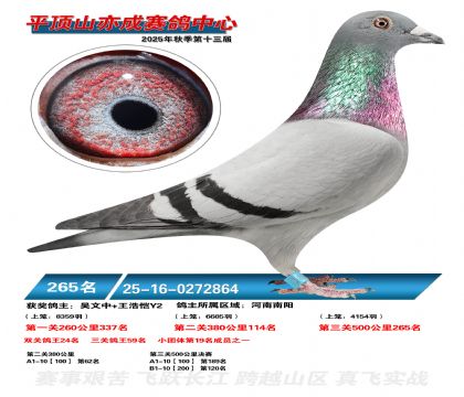 ƽ��ɽ��ɾ���265��