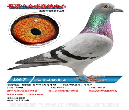 ƽ��ɽ��ɾ���266��