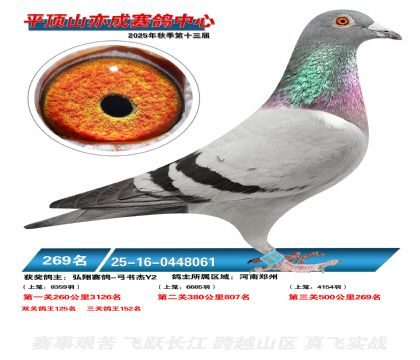 ƽ��ɽ��ɾ���269��