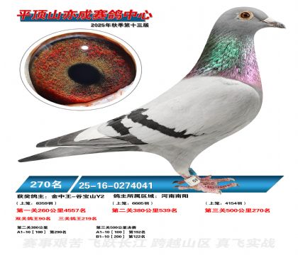 ƽ��ɽ��ɾ���270��