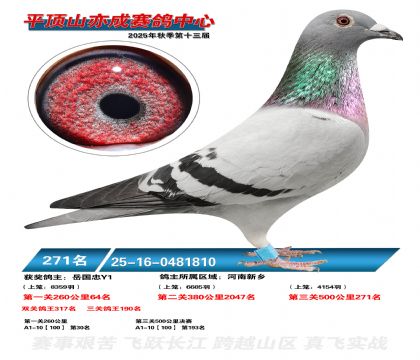 ƽ��ɽ��ɾ���271��