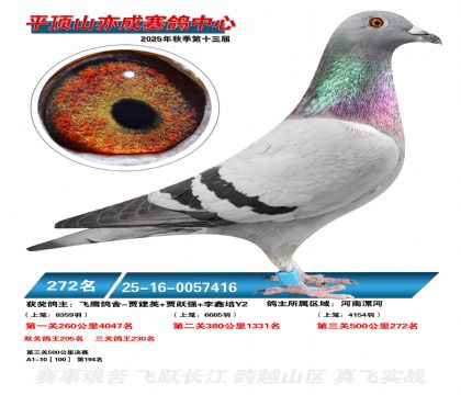 ƽ��ɽ��ɾ���272��