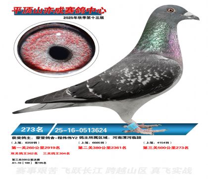 ƽ��ɽ��ɾ���273��