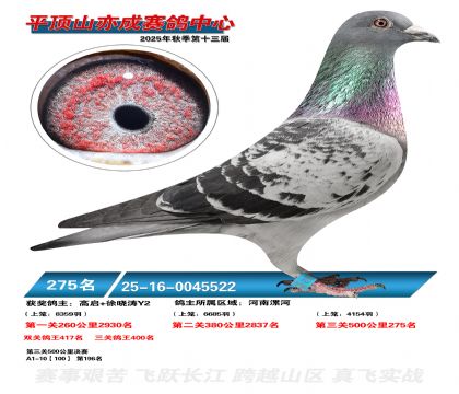 ƽ��ɽ��ɾ���275��