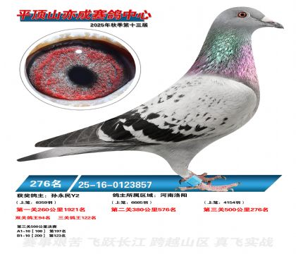 ƽ��ɽ��ɾ���276��