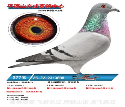 ƽ��ɽ��ɾ���277��