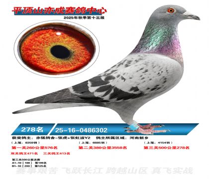 ƽ��ɽ��ɾ���278��