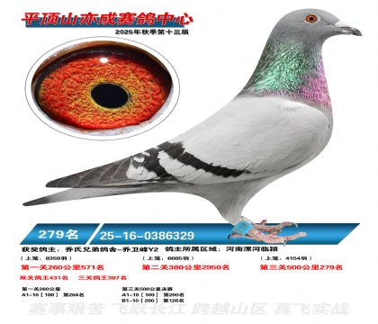 ƽ��ɽ��ɾ���279��