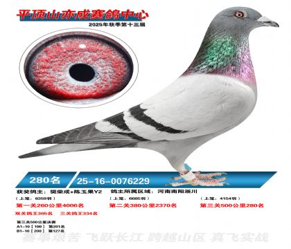 ƽ��ɽ��ɾ���280��