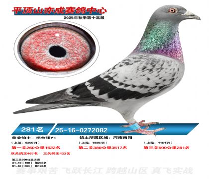 ƽ��ɽ��ɾ���281��