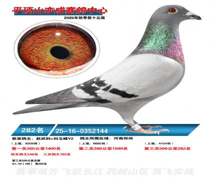 ƽ��ɽ��ɾ���282��