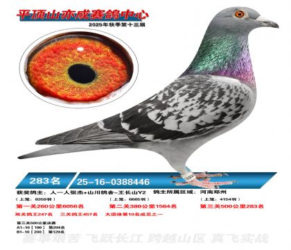 ƽ��ɽ��ɾ���283��