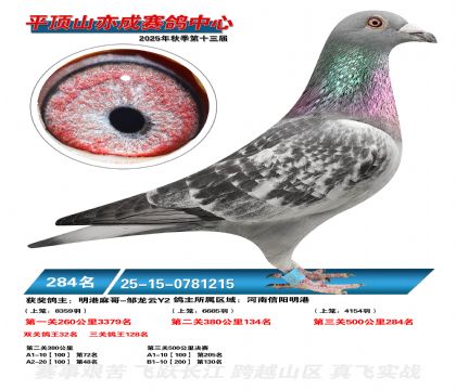 ƽ��ɽ��ɾ���284��