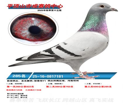 ƽ��ɽ��ɾ���285��