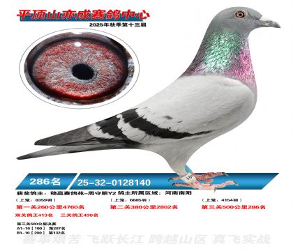 ƽ��ɽ��ɾ���286��