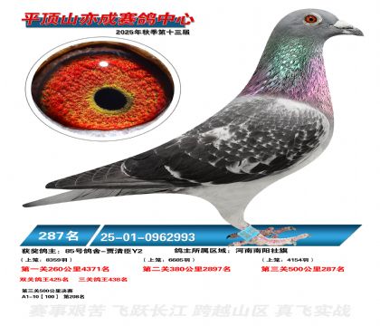 ƽ��ɽ��ɾ���287��