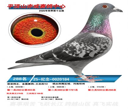 ƽ��ɽ��ɾ���288��