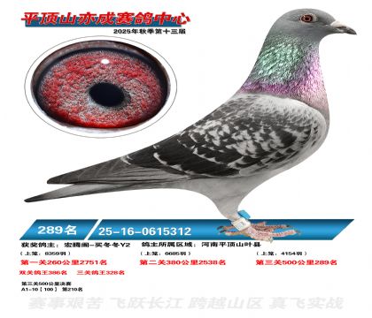 ƽ��ɽ��ɾ���289��