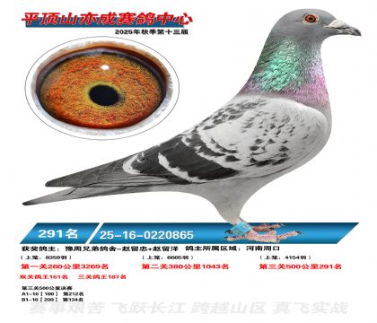 ƽ��ɽ��ɾ���291��