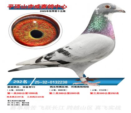 ƽ��ɽ��ɾ���292��