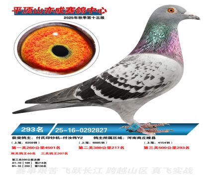 ƽ��ɽ��ɾ���293��