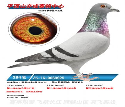 ƽ��ɽ��ɾ���294��