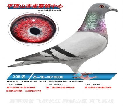 ƽ��ɽ��ɾ���295��