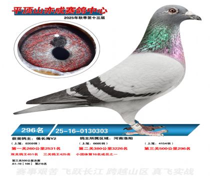 ƽ��ɽ��ɾ���296��