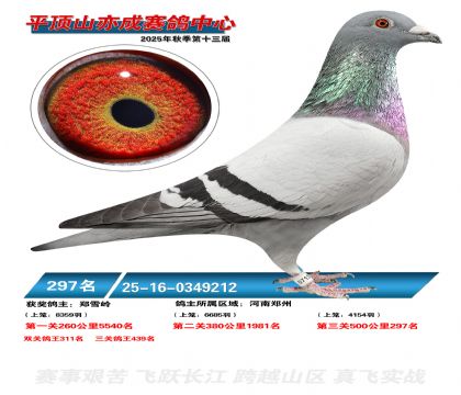 ƽ��ɽ��ɾ���297��