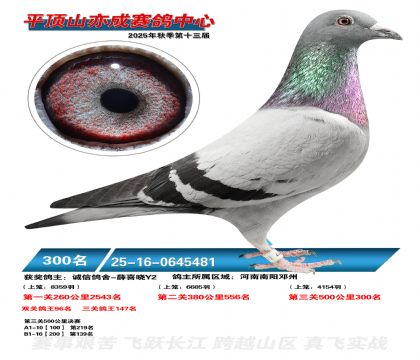 ƽ��ɽ��ɾ���300��