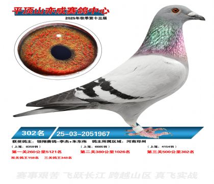 ƽ��ɽ��ɾ���302��