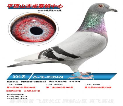 ƽ��ɽ��ɾ���304��