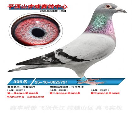 ƽ��ɽ��ɾ���305��