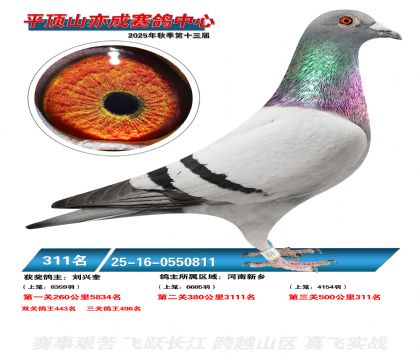 ƽ��ɽ��ɾ���311��