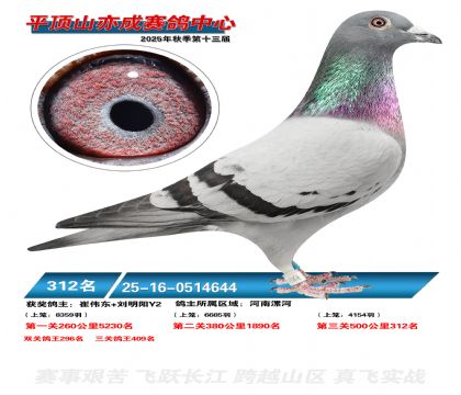 ƽ��ɽ��ɾ���312��