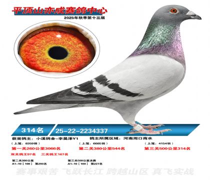 ƽ��ɽ��ɾ���314��