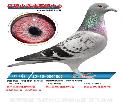 ƽ��ɽ��ɾ���317��