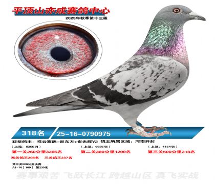 ƽ��ɽ��ɾ���318��