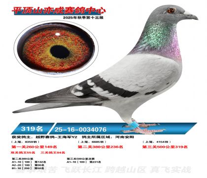 ƽ��ɽ��ɾ���319��