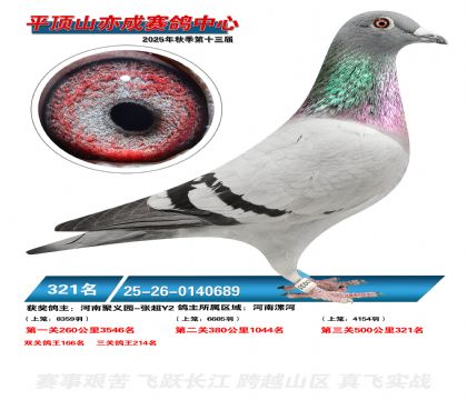 ƽ��ɽ��ɾ���321��