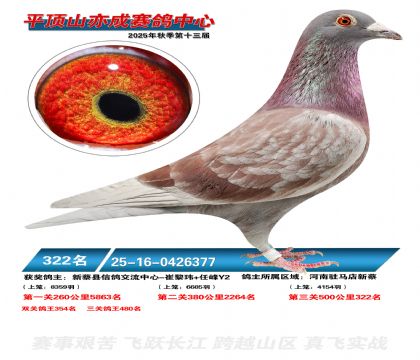 ƽ��ɽ��ɾ���322��