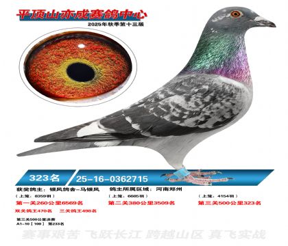 ƽ��ɽ��ɾ���323��