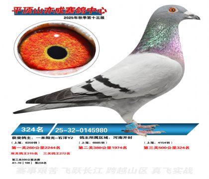 ƽ��ɽ��ɾ���324��