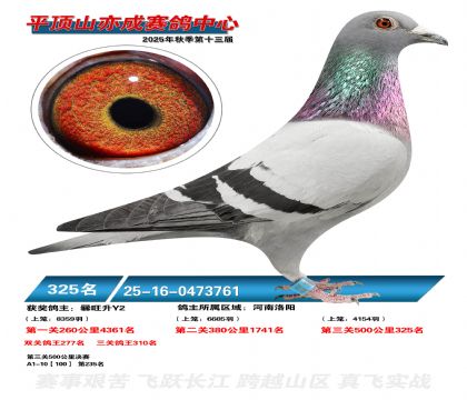 ƽ��ɽ��ɾ���325��