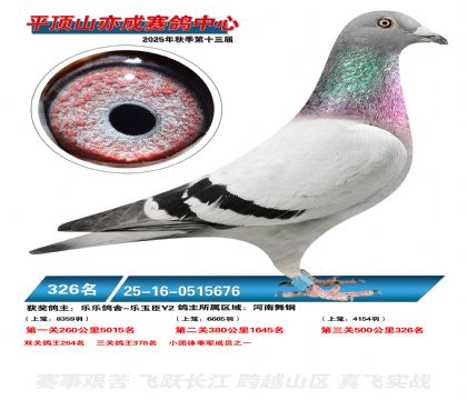 ƽ��ɽ��ɾ���326��