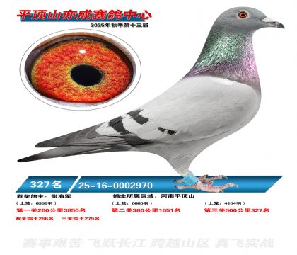 ƽ��ɽ��ɾ���327��