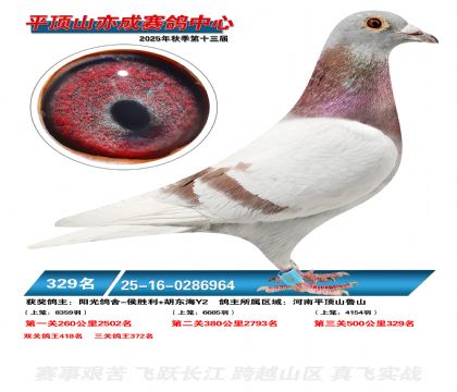 ƽ��ɽ��ɾ���329��