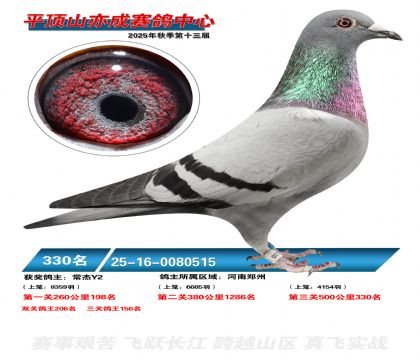 ƽ��ɽ��ɾ���330��